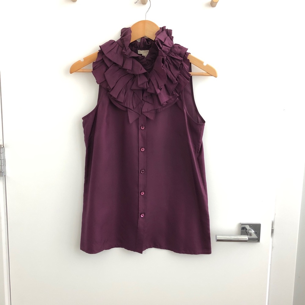 Fancy Plum Jcrew Blouse